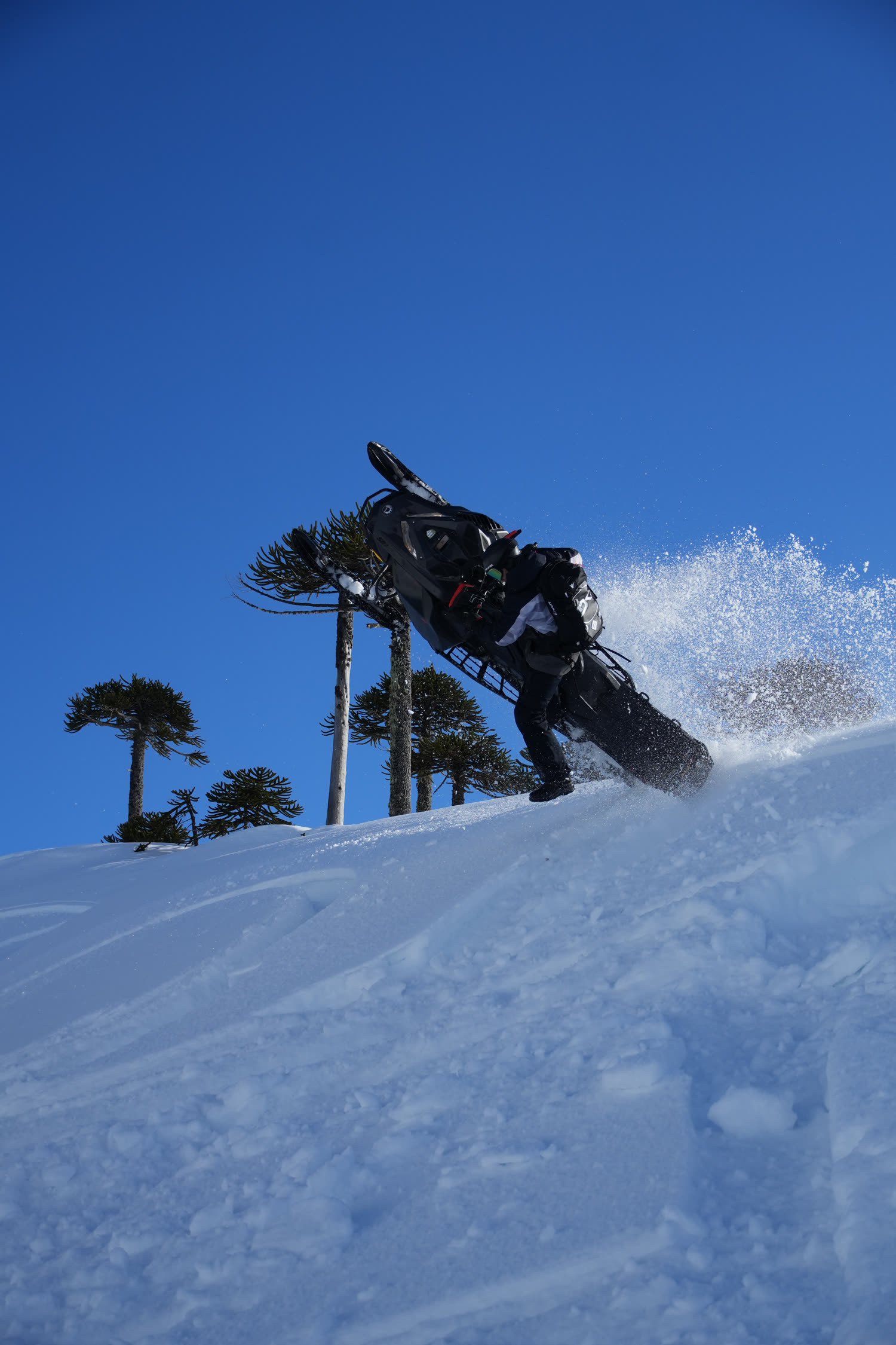 Moto de nieve en acción