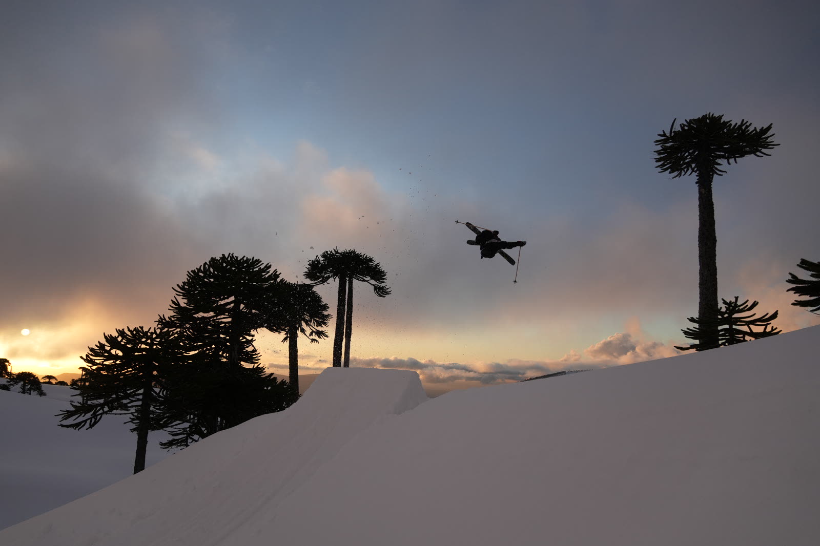 Salto en silueta al atardecer entre araucarias